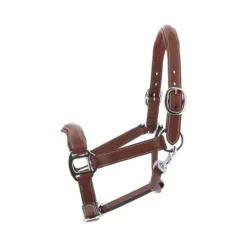 Antarès Sellier - Licol doublé cuir marron