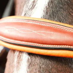 Antarès Sellier - Licol doublé cuir marron