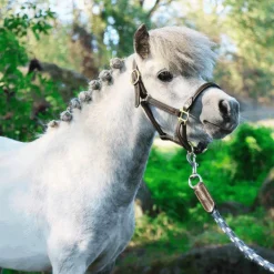 Antarès Sellier - Longe cuir et corde havane / marine