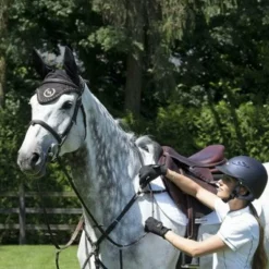 Back On Track - Bonnet pour cheval noir