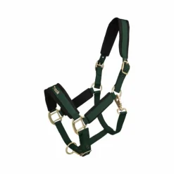 Back On Track - Licol werano vert