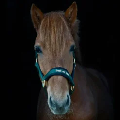 Back On Track - Licol werano vert