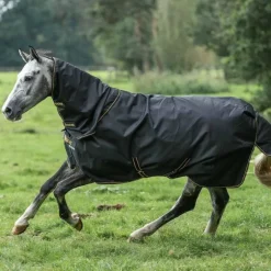 Bucas - Couverture d'extérieur Irish Turnout 300 noir/ gold 300g