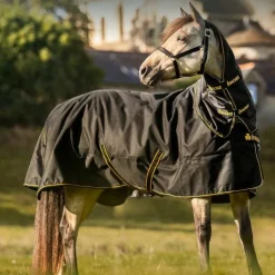 Bucas - Couverture d'extérieur Irish Turnout 150 noir/ gold 150g