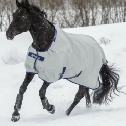 Bucas - Couverture d'extérieur Power Turnout Light silver 0g