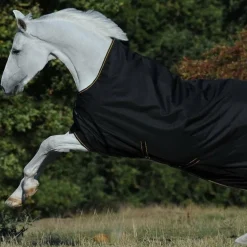 Bucas - Couverture d'extérieur Irish Turnout 300 High Neck noir/ gold 300g