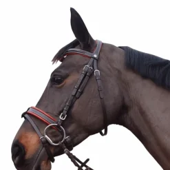 Canter - Bridon Alme têtière anatomique marron