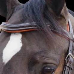 Canter - Bridon Alme têtière anatomique marron