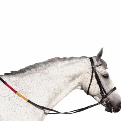 Canter - Bridon éducatif Club avec rênes