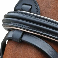 Canter - Bridon rose gold avec rênes noir