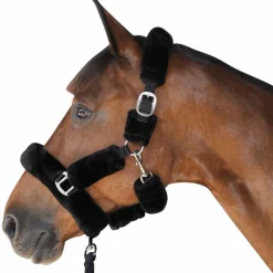 Canter - Licol de transport noir