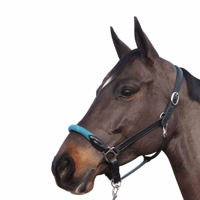 Canter - Licol en corde bouclerie argent noir/ emeraude