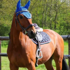 Canter - Sangle bavette mouton marron