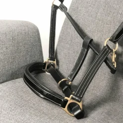 Chetak - Licol cheval Bright cuir doublé noir