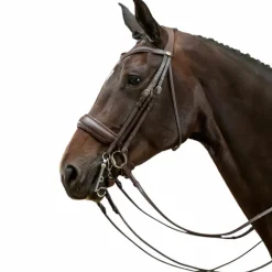 Dyon - Bride muserolle large mat Working by Dyon brun