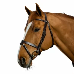 Dyon - Bridon cuir plat avec mousquetons Working By Dyon noir