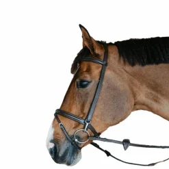 Dyon - Bridon de travail Working by Dyon cuir havane