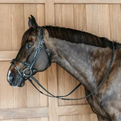 Dyon - Bridon en cuir rond Working By Dy'on têtière anatomique noir