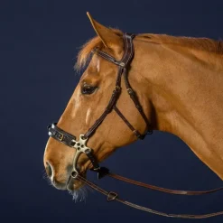 Dyon - Bridon hackamore D Collection havane