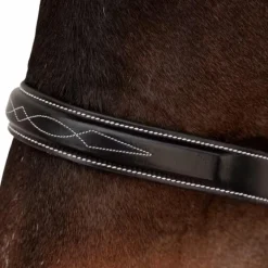 Dyon - Bridon Hunter noir