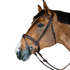 Dyon - Bridon muserolle combinée New English cuir havane