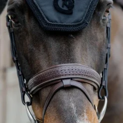 Dyon - Bridon muserolle combinée Tressé Pull Back havane