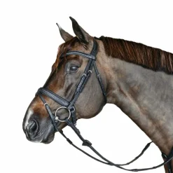 Dyon - Bridon muserolle combinée large new English tressé pull back cuir noir