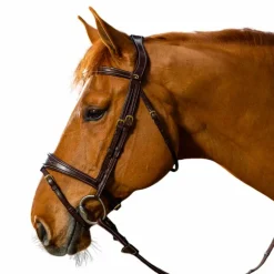 Dyon - Bridon muserolle combinée anatomique D Collection noir