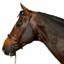 Dyon - Bridon muserolle combinée New English Collection havane