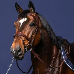 Dyon - Bridon muserolle combinée anatomique New English Collection havane