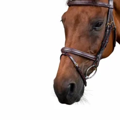 Dyon - Bridon muserolle combinée Dy'on Collection marron
