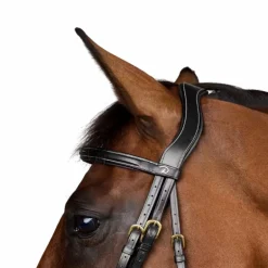 Dyon - Bridon muserolle combinée Dy'on Collection noir