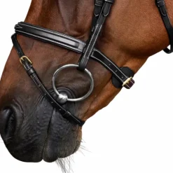 Dyon - Bridon muserolle combinée Dy'on Collection noir