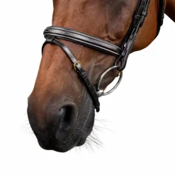 Dyon - Bridon muserolle combinée Dy'on Collection noir