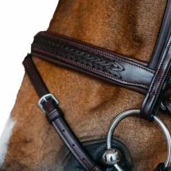 Dyon - Bridon muserolle combinée large New English tressé pull back cuir havane