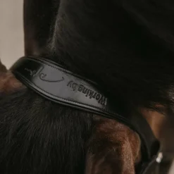 Dyon - Bridon muserolle combinée large vernie Working By Dyon noir