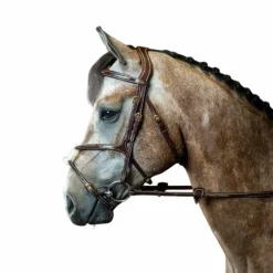 Dyon - Bridon muserolle croisée D Collection havane