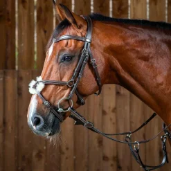 Dyon - Bridon muserolle croisée Working by Dyon havane