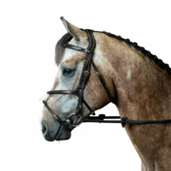 Dyon - Bridon muserolle croisée D Collection noir