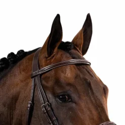 Dyon - Bridon muserolle française US Collection havane