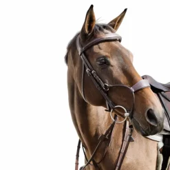 Dyon - Bridon muserolle hybride New English Collection havane