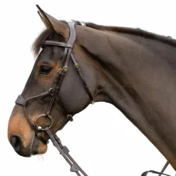 Dyon - Bridon muserolle hybride élastique D Collection havane