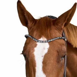 Dyon - Bridon muserolle large Round avec frontal à cristaux marron