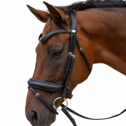 Dyon - Bridon muserolle Medium noir