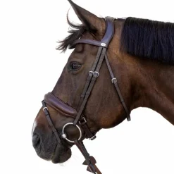 Dyon - Bridon muserolle Medium marron