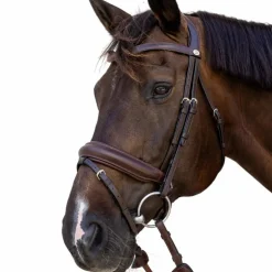 Dyon - Bridon muserolle Medium marron