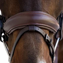 Dyon - Bridon muserolle Medium marron