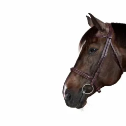 Dyon - Bridon New English Collection marron