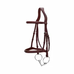 Dyon - Bridon New English Collection marron