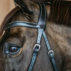 Dyon - Bridon sans mors Working by Dy'on noir